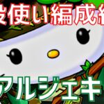 【パズドラ】これが結論！最新版アルジェキティ普段使い編成紹介！【クリスマス×ワンピース】