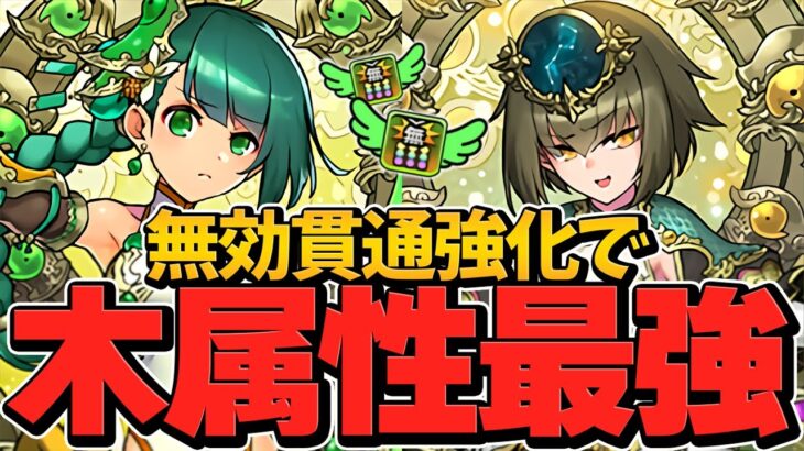 木属性弱いとか言ってる奴ｗｗゲットした人必見！クリスマスパティ×カミムスビ×アメノミナカヌシ編成で万寿攻略！【パズドラ】