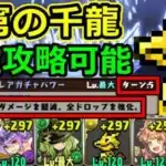 【蒼穹の千龍】ドットレアガチャドラが超強力！マーベルで安定攻略！千手【パズドラ】