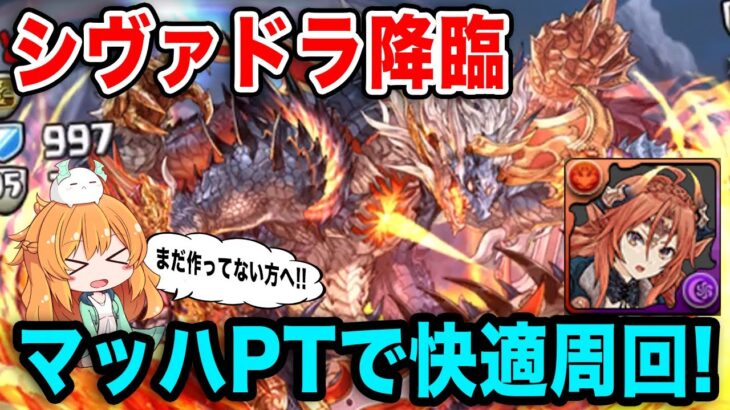 シヴァドラ降臨まだ作っていない人へ。無課金端末で周回してるPTを紹介します!!【パズドラ】