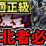 【無敵】負け要素なし！新魔王チャレンジ！正月ラジョア編成！代用・立ち回り解説！裏魔廊の支配者【パズドラ】