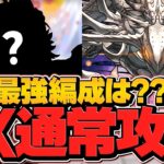 【新時代】環境最強リーダーTOP3！？LVEXを通常クリアしてるガチ勢編成がヤバすぎるｗｗ10周年ラストチャレンジ【パズドラ】