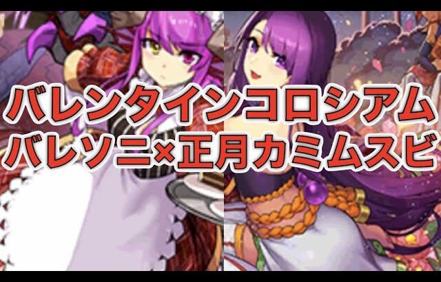 [パズドラ]バレンタインコロシアムをバレソニ×正月カミムスビで攻略します。