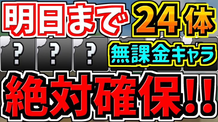 【明日まで】後悔しないように！全部取った？24体の無課金キャラ！周回編成まとめ！ダイの大冒険コラボ【パズドラ】