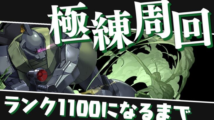 ランク1100になるまで終われないランク上げ配信【パズドラ】