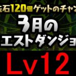 【#3月クエストダンジョン】Lv12にウルフデイトナで攻略！！【パズドラ】