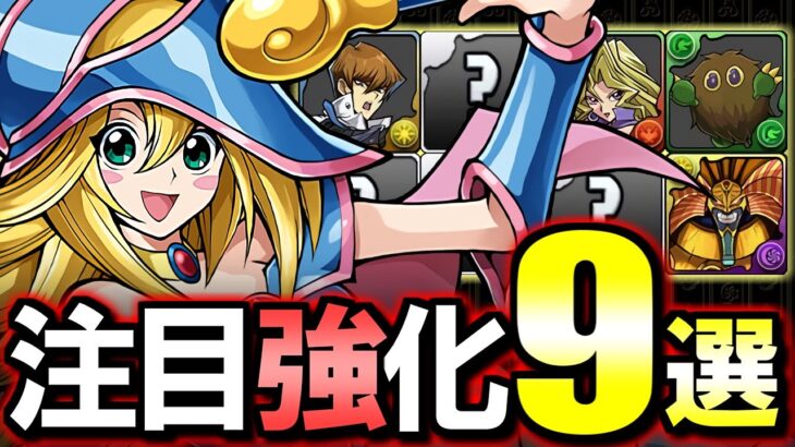 【確保推奨】中には代用困難なキャラも!?上方修正により今まで以上に輝きそうな9体をご紹介!!～遊戯王シリーズコラボ 能力調整～【パズドラ】