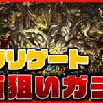 【パズドラドラゴン縛り】勝てないなら引けばいい!!!龍現門・アグリゲート1点狙いガチャ!!!