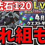 【これ組もう】魔法石120個！4月のクエストダンジョン14を闇ラジョア編成でクリアしよう！代用・立ち回り解説！月クエ14！クエダン14【パズドラ】