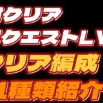 【魔法石14個ゲット！】　みんなの月クエレベル14パーティー11編成紹介！　【パズドラ】