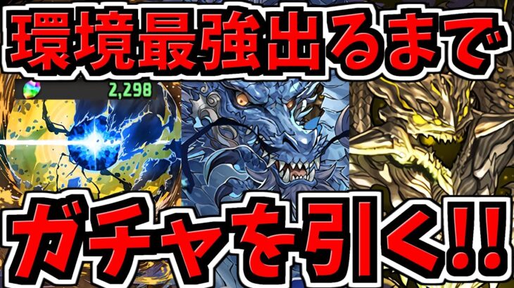 【地獄回】【魔法石2000個】環境最強出るまでガチャ引く！アグリゲート欲しすぎる！【パズドラ】