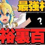 正月フェルル最強時代！？裏百式も3色陣ループで安定破壊！最新テンプレ編成！【パズドラ】