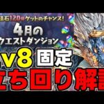 【4月のクエスト】Lv8 固定チーム 立ち回り完全解説！魔法石8個を回収しよう！【パズドラ】