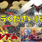 【MTGコロシアム】エリシュノーン～今回の内容は楽で良いね！～【パズドラ実況】