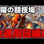 【月曜の闘技場】シヴァドラでエリスドラゴンを乱獲しよう！シヴァドラ快適周回編成代用＆立ち回り解説！【パズドラ】