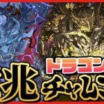 【パズドラドラゴン縛り】最強ドラゴンで行く!!『億兆』初見チャレンジ!!