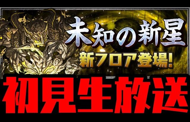 【生放送】未知の新星 混沌の億兆龍 初見チャレンジ!!【ダックス】【パズドラ実況】