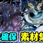 【生放送】カリンドラゴンとハーデスドラゴンの素材を集めましょう【パズドラ】