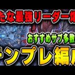 これからの環境で輝く最強リーダー！グランエルヴのテンプレ編成＆おすすめサブ紹介！！【パズドラ実況】