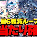 ★6のセッカが最強軽減ループキャラに！？一番の大当たりキャラ！持ってる人勝ち組！4月LV15で魔法石15個ゲット！グランエルヴ【パズドラ】