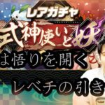 【無課金パズドラ】式神使いと妖ガチャに逆転の発想でアグリゲートを狙った結果…？【しばいぬ丸＃112】