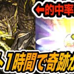 【ラスト1時間】無課金が的中率2.5%のアグリゲート狙って魔法石全部突っ込んだ結果・・・【しげドラ#398】【しげパズ#977】