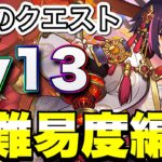 【これでも勝てる！】セイナでチャレンジダンジョン13攻略！！【パズドラ】