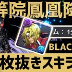 【パズドラ】平等院鳳凰降臨！1枚抜きスキラゲ！BLACK SUNループ1分台爆速周回編成！