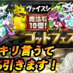 【無課金パズドラ】的中確立2.5パーセントの新フェス限を魔法石100個で狙い撃つぜ！【しばいぬ丸＃116】