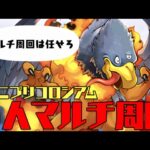 テニプリコロシアムを3人マルチで周回！【パズドラ】