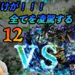 【無課金パズドラ】5月クエスト12を覇王色の覇気を纏った一撃で粉砕！玉砕！大喝采！【しばいぬ丸＃110】