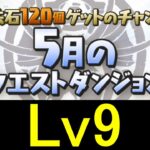 【#5月クエストダンジョン】Lv9にヤマト✕風神で攻略！！【パズドラ】【スキル1回】【魔法石9個】