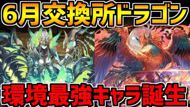 レイランバードが最強！確保必須人権キャラに&メタルスピカ！6月ドラゴン性能解説！【パズドラ】