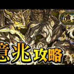 【パズドラ】億兆チャレンジ攻略配信！！The Final②【初見さん大歓迎】