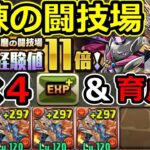 【極練の闘技場】サレサレシヴァドラで周回！育成枠自由！【パズドラ】