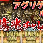 【パズドラドラゴン縛り】超富豪編成・アグリゲートループで億兆チャレンジ!!超火力＆超耐久がマジで最強すぎる!!!【ゆっくり実況】