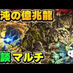 【パズドラ】混沌の億兆龍マルチ