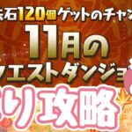 【パズドラ】クエストをランダム抽選パーティで縛り攻略！レベル14～【雑談】