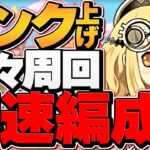 【最強テンプレ】裏修羅ソロはこれ1択！ほぼずらしのみで7分台周回！2.3億経験値↑【パズドラ】