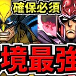 【環境最強を逃すな】確保必須！無いと将来困るかも！ウルヴァリン&マグニートー編成！代用・立ち回り解説！マーベルコラボの超絶大当たりキャラ【パズドラ】