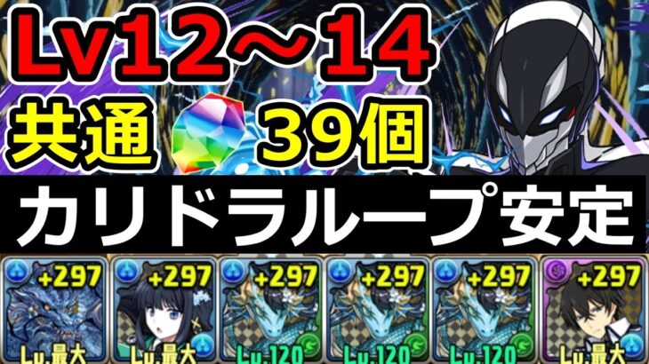 【12月クエストLv12~Lv14】カリドラループの共通編成で余裕攻略！グランエルヴ×司波達也【パズドラ】