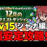 【12月のクエスト】Lv15 シャナで安定攻略！魔法石15個を回収しよう！シャナ安定攻略編成代用＆立ち回り解説！【パズドラ】