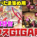 【提供編成】ヘラアバたま集め用 最速3分台ゼウスGIGA降臨周回編成紹介！！【パズル&ドラゴンズ】