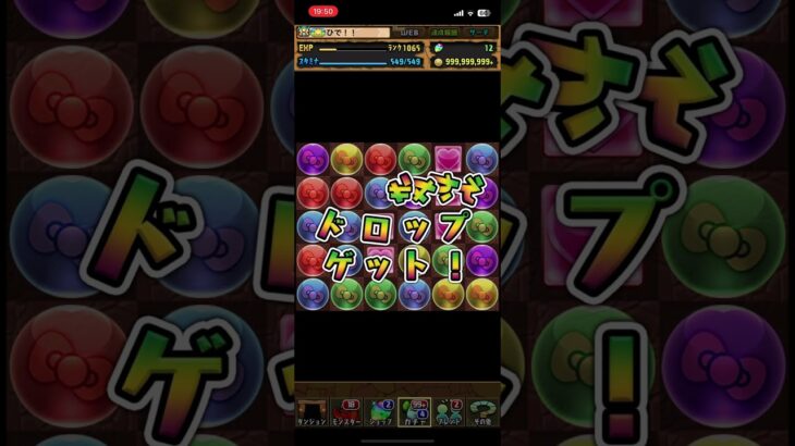 パズドラ　サンリオ5連