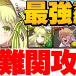 クリスマスアルジェが環境最強ぶっ壊れチート確定！超絶火力で裏凶兆破壊！代用&立ち回り解説！【パズドラ】