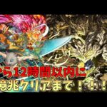 【パズドラ】0から裏億兆（最難関）をクリアするまで　6:00:00　RTA【ゆっくり実況】