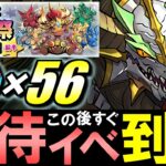 【ノルディスが大活躍】魔法石56個&大量報酬!!12周年前夜祭イベントの内容が激アツです!!お正月ノルディスをこれから作る方向けの注意点も併せて解説します。【パズドラ】