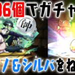 【パズドラ】ハンターハンターコラボ！星９ゼノ＆シルバ狙いでガチャった結果【石886】