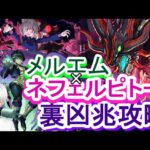 【パズドラ】メルエム×ネフェルピトー裏凶兆攻略【HUNTER×HUNTERコラボ】