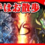 🔴【正月ノルディス】自作PTで千手をお散歩【パズドラ雑談配信】 #パズドラ